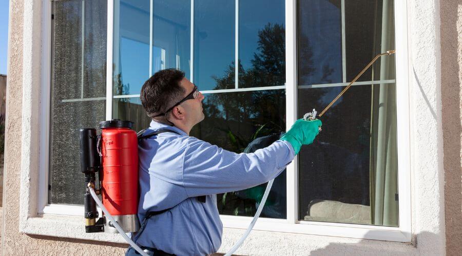 Professional 24 hour pest control services in Chatsworth